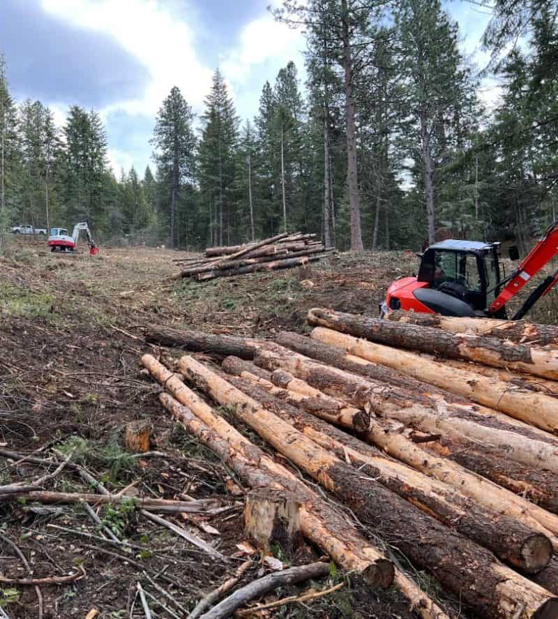 Bush Tree Trimming When? Grading, Land Clearing, Forestry Mulching