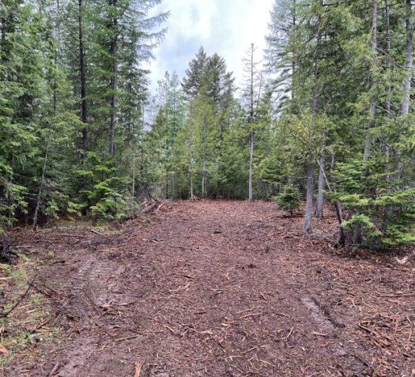 Brush-Removal-Services-600×545