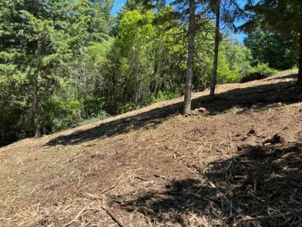 Forestry-Mulching-Services-600×450