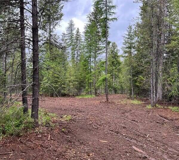 What-Do-Land-Clearing-Services-Do-600×534