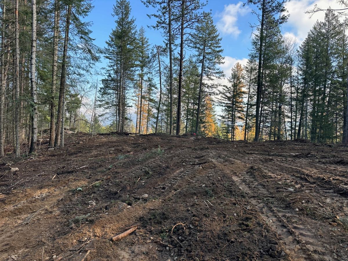 Cleared building pad with fresh dozer tracks and standing timber — Premier Land Service land clearing, North Idaho