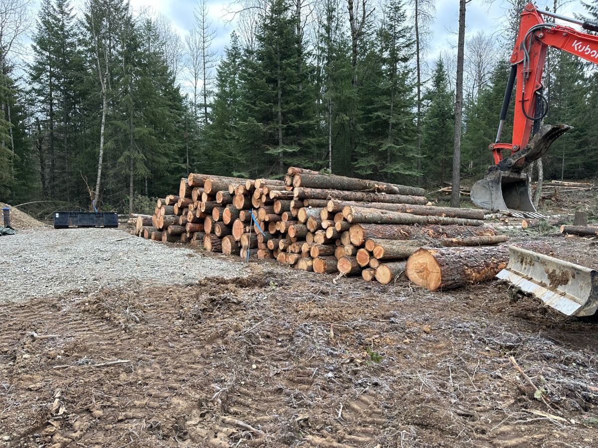 Site-clearing project in Sagle, Idaho with merchantable logs decked and sorted for sale to the mill, Kubota excavator with thumb, Premier Land Service.