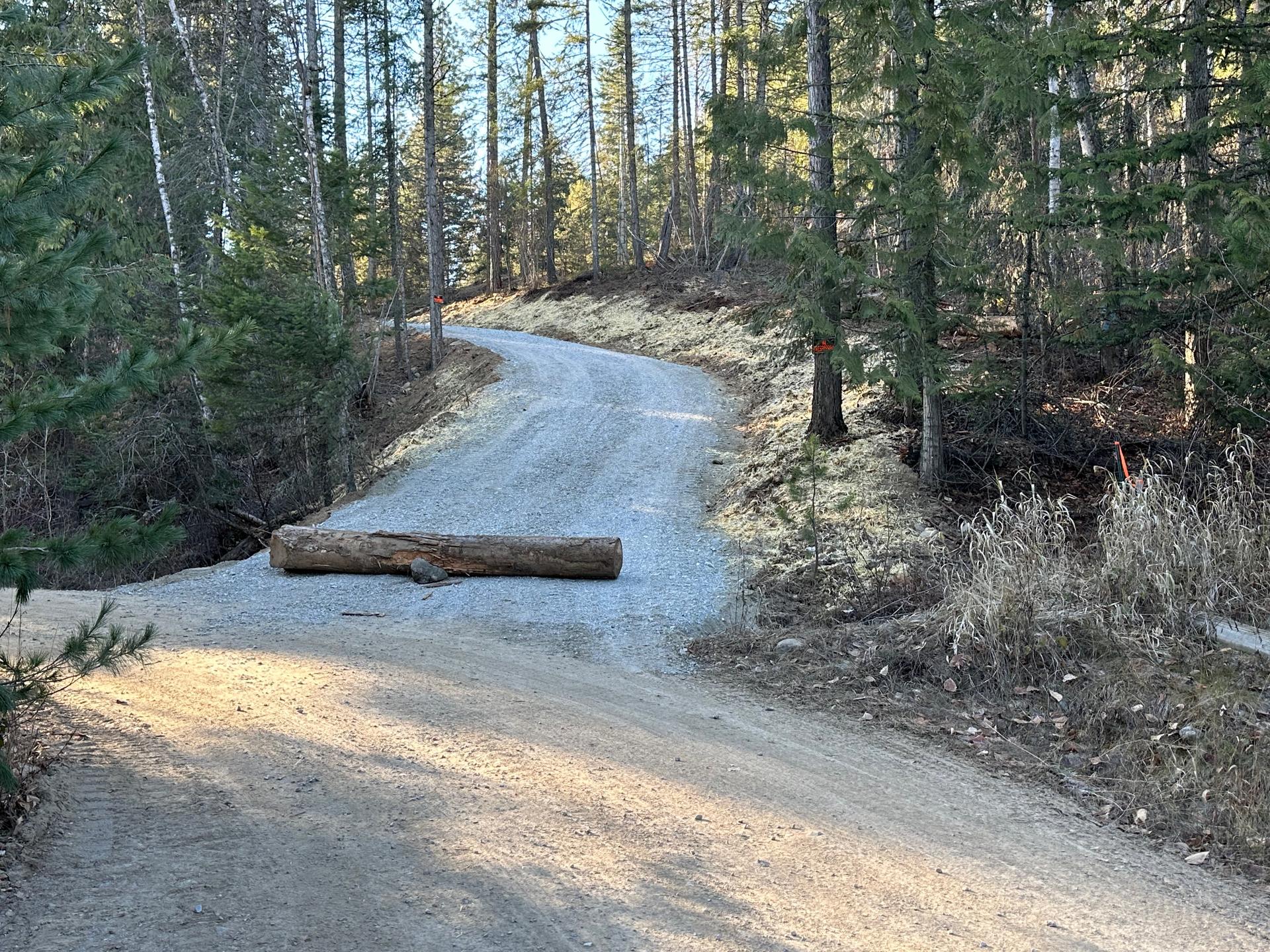Freshly graded gravel driveway through forest with snow on ground