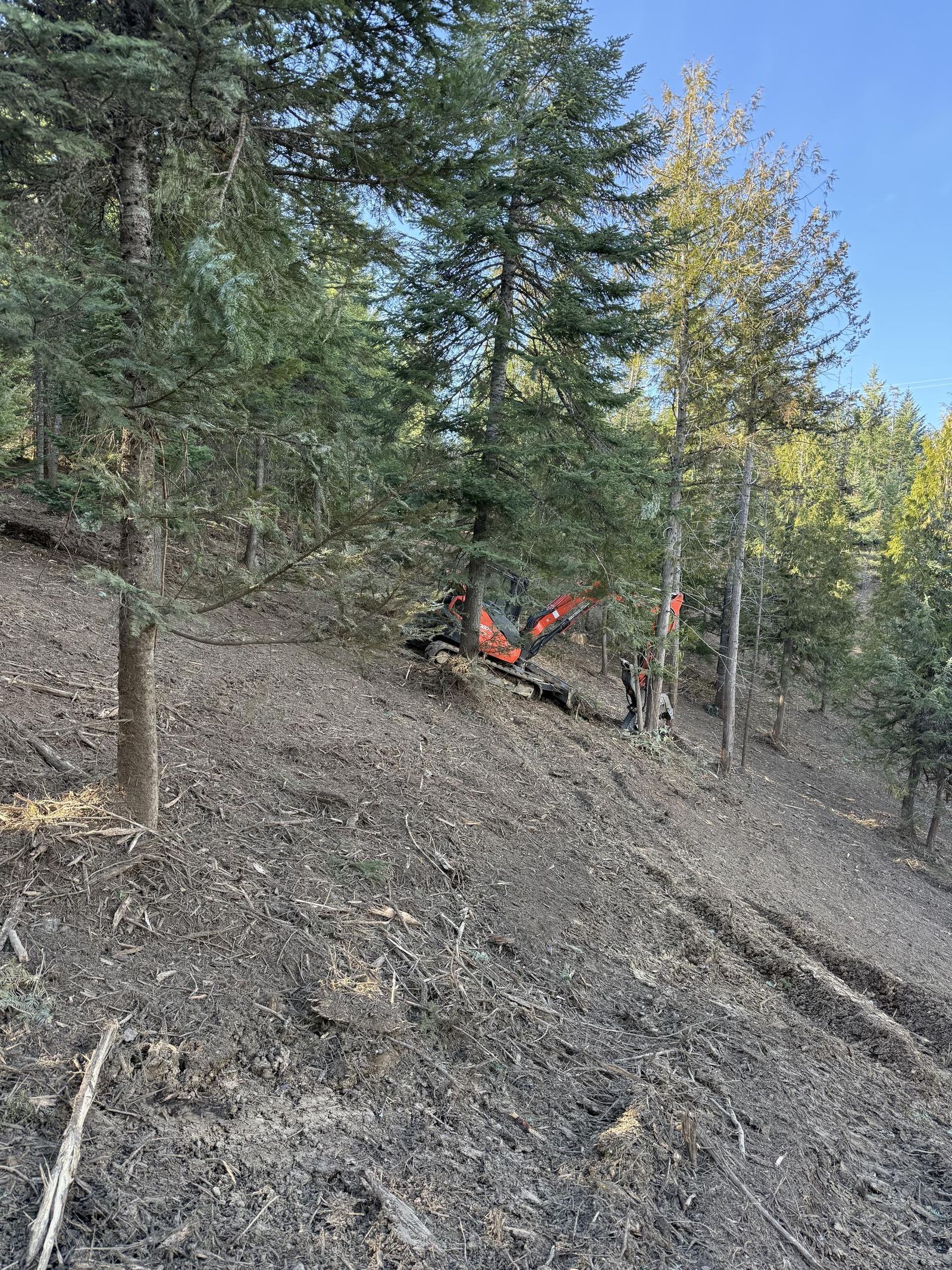 Cleared meadow land with lake and mountains in background Sandpoint Idaho