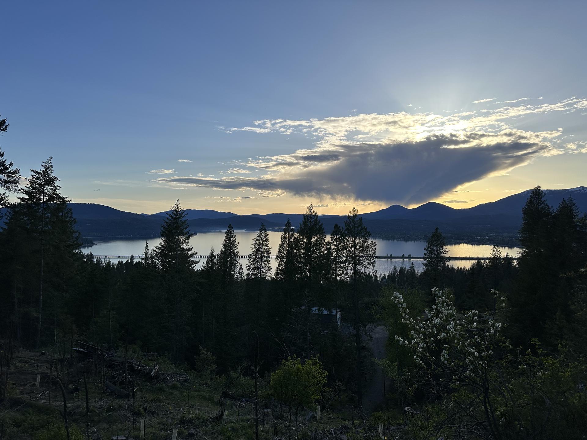 Sunset over Pend Oreille Lake with pine foreground