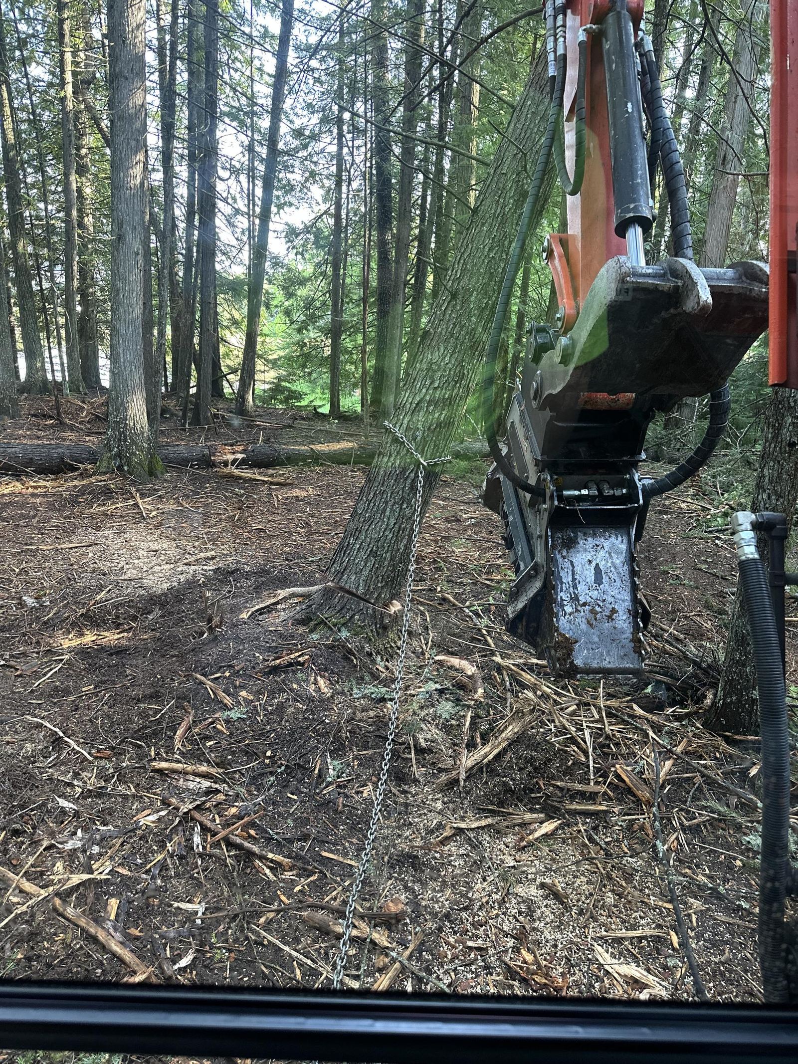 Excavator-mounted forestry mulcher working through dense timber understory