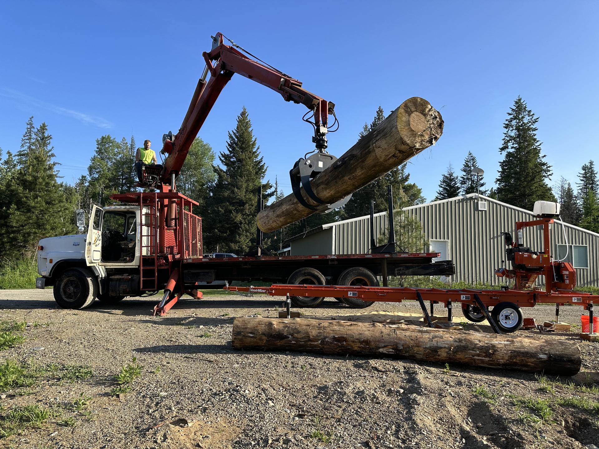 Log loader truck loading large pine logs at Premier Land Service timber operation