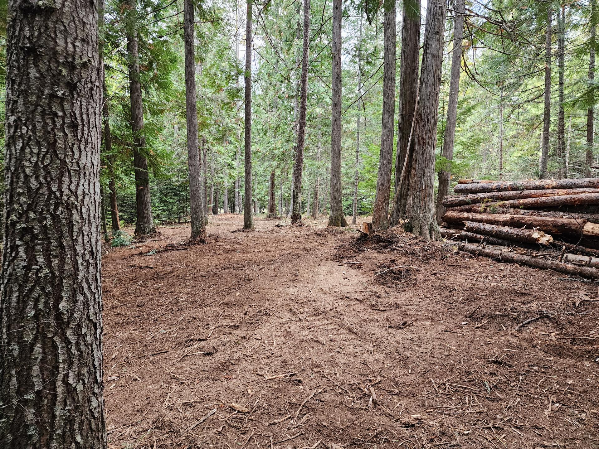 Slash logs and stumps cleared from pine forest Premier Land Service project