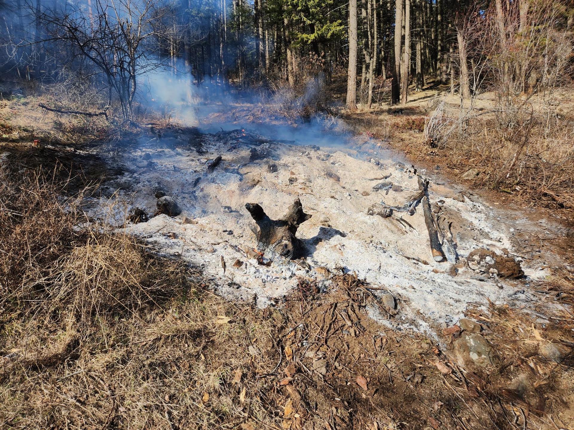 Slash pile burning for fire fuels reduction at Premier Land Service jobsite