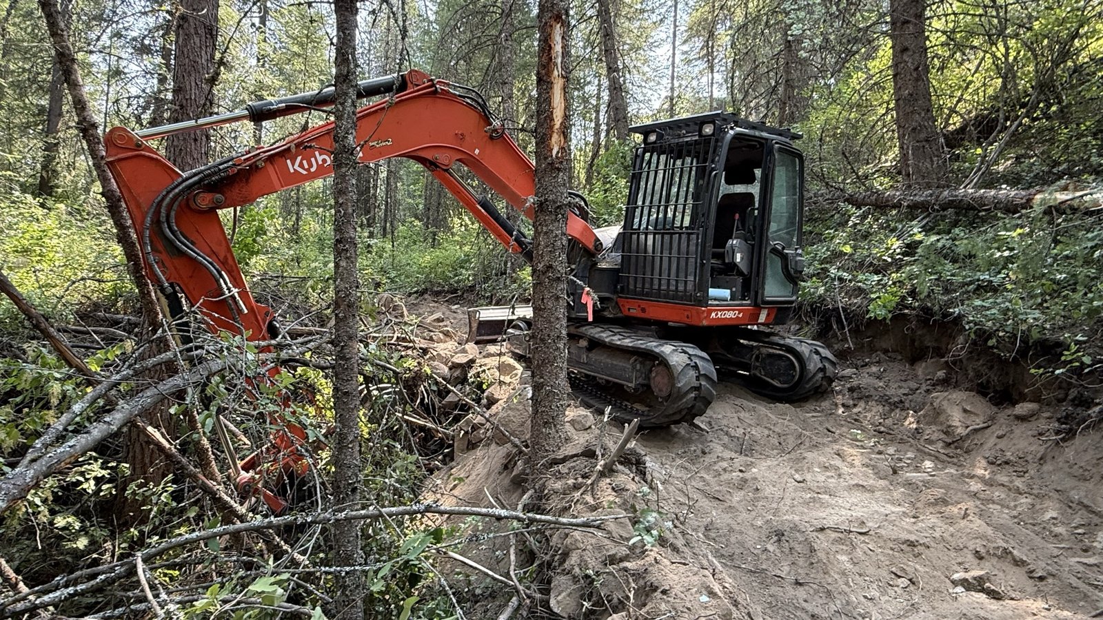 Mini excavator cutting a rough driveway through steep timbered ground in North Idaho