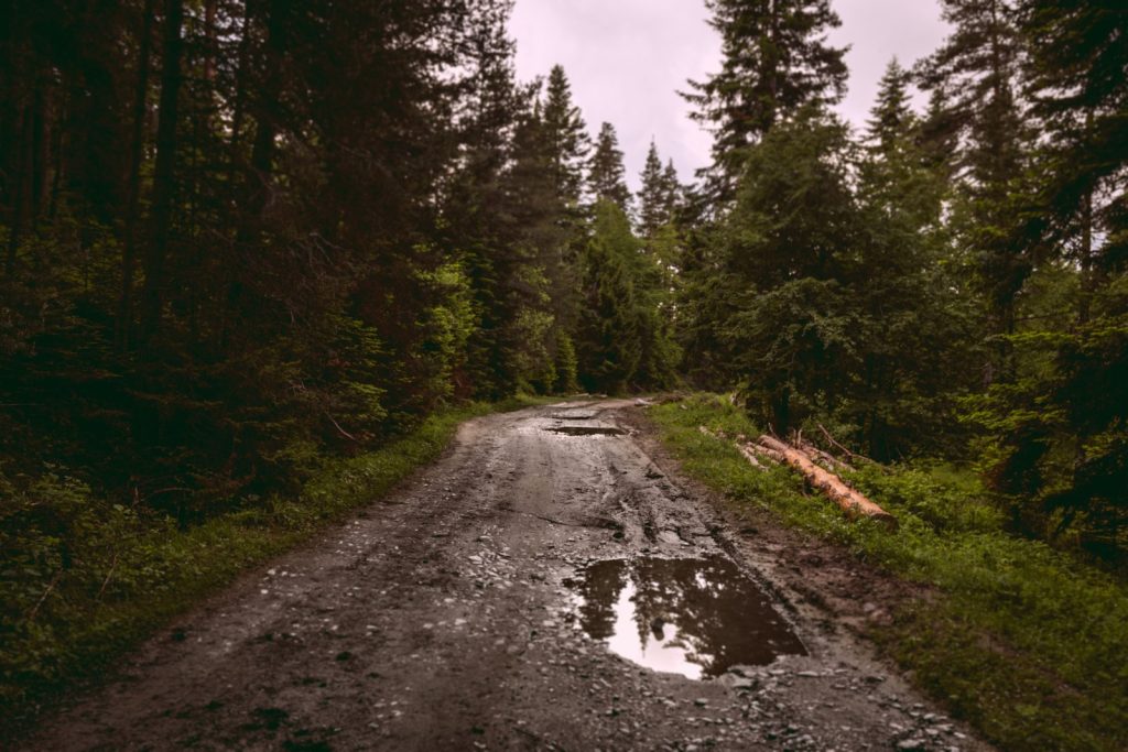 Rutted forest road with standing water and lost crown on a rural North Idaho parcel